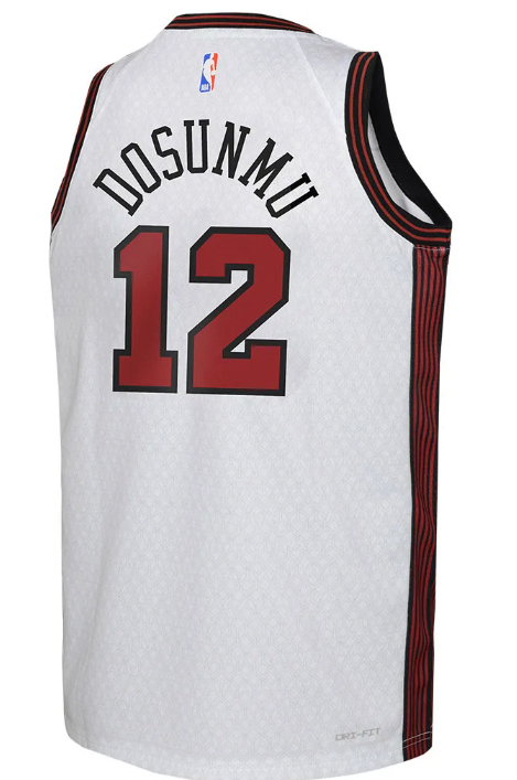 Nike Youth 2022-23 City Edition Chicago Bulls Ayo Dosunmu