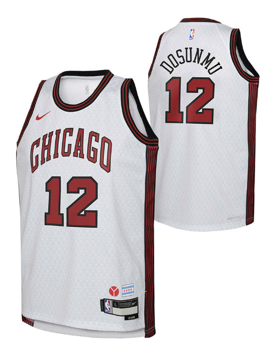 Nike Youth 2022-23 City Edition Chicago Bulls Ayo Dosunmu