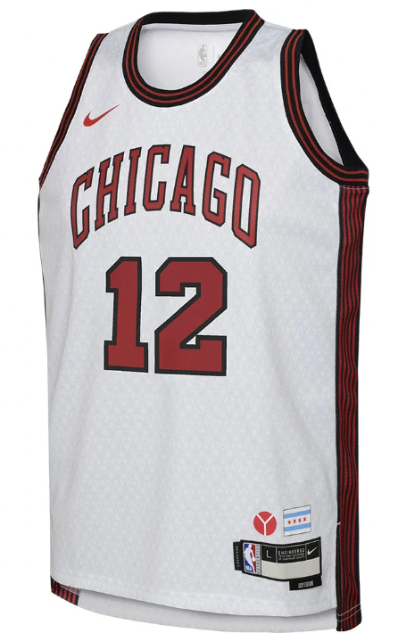 Nike Youth 2022-23 City Edition Chicago Bulls Ayo Dosunmu 