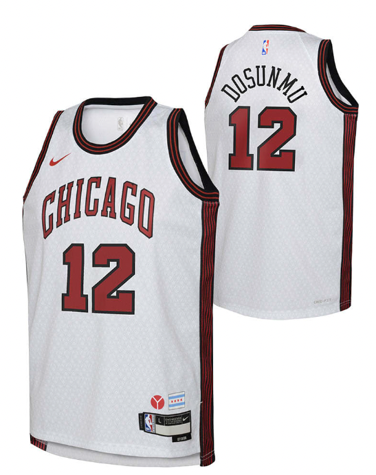 Nike Youth 2022-23 City Edition Chicago Bulls Ayo Dosunmu 